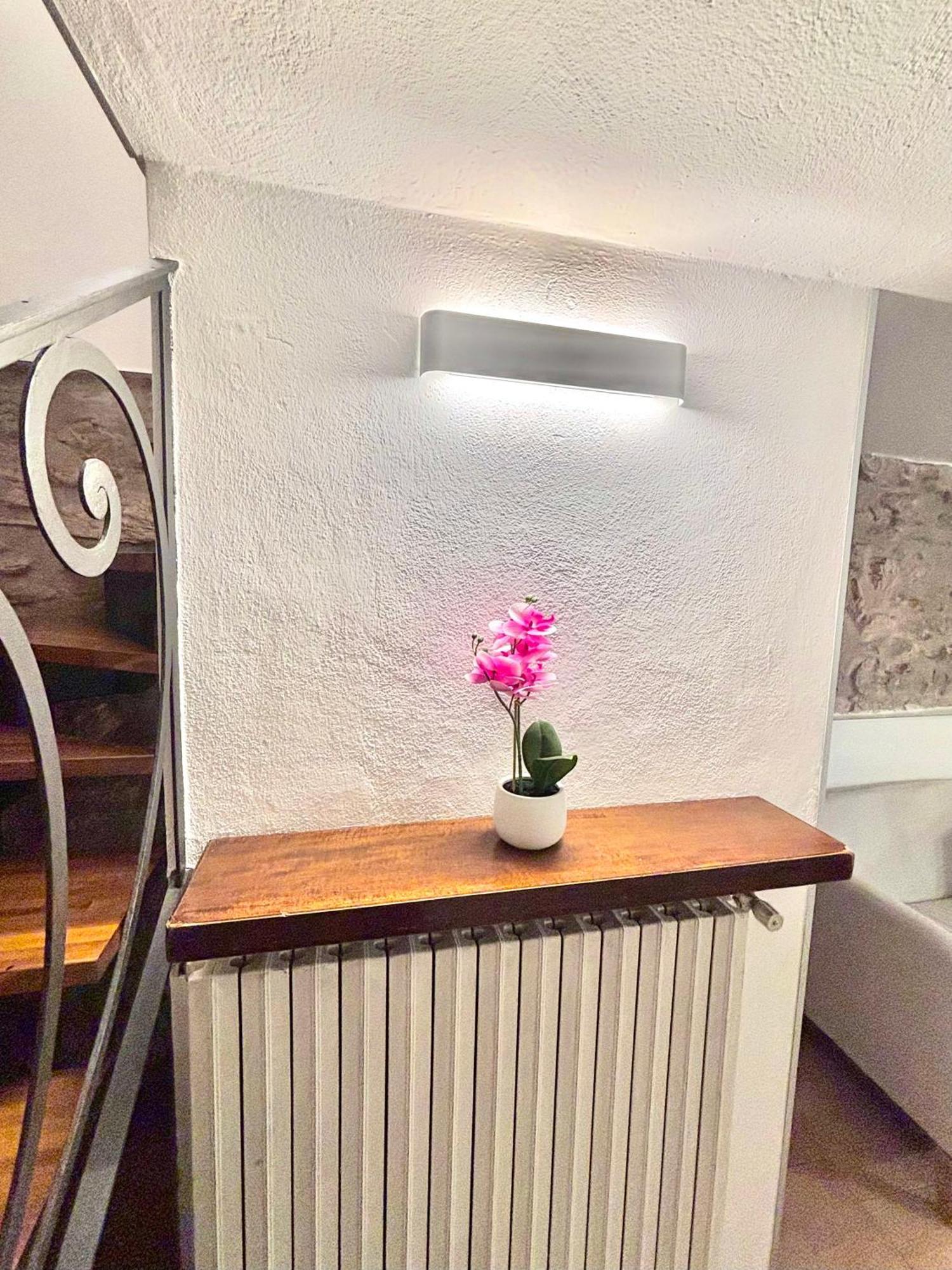 Vittoria Holiday House - Tulip Apartment And Tulip Room Stresa Exteriör bild